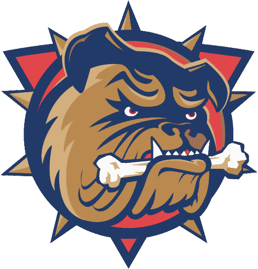 Hamilton Bulldogs 1996 97-2002 03 Primary Logo iron on transfers for T-shirts